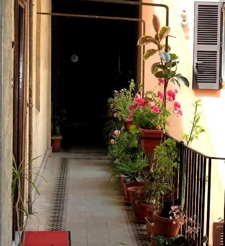 Mandruchello's *